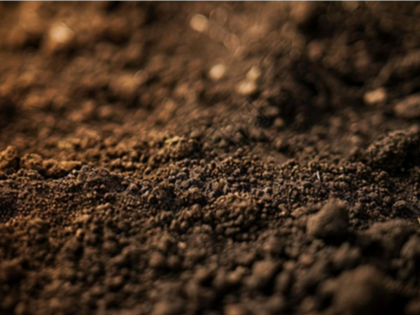 SST Soil Stabilization Technology